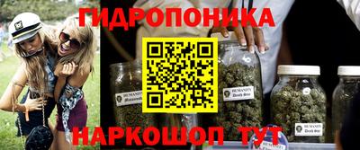 гашик Комсомольск-на-Амуре