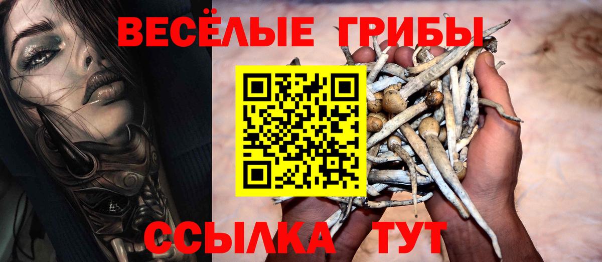 Галлюциногенные грибы Cubensis Когалым
